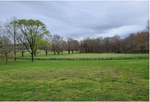 Shaffer Property
